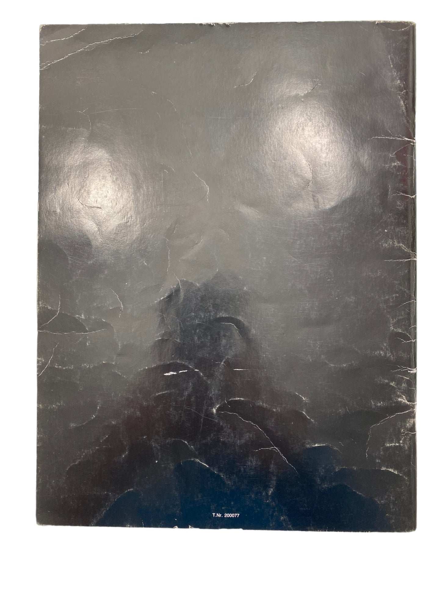 Das Schwarze Auge - Das Buch der Abenteuer - Der Schwarze Turm & Zauberwald