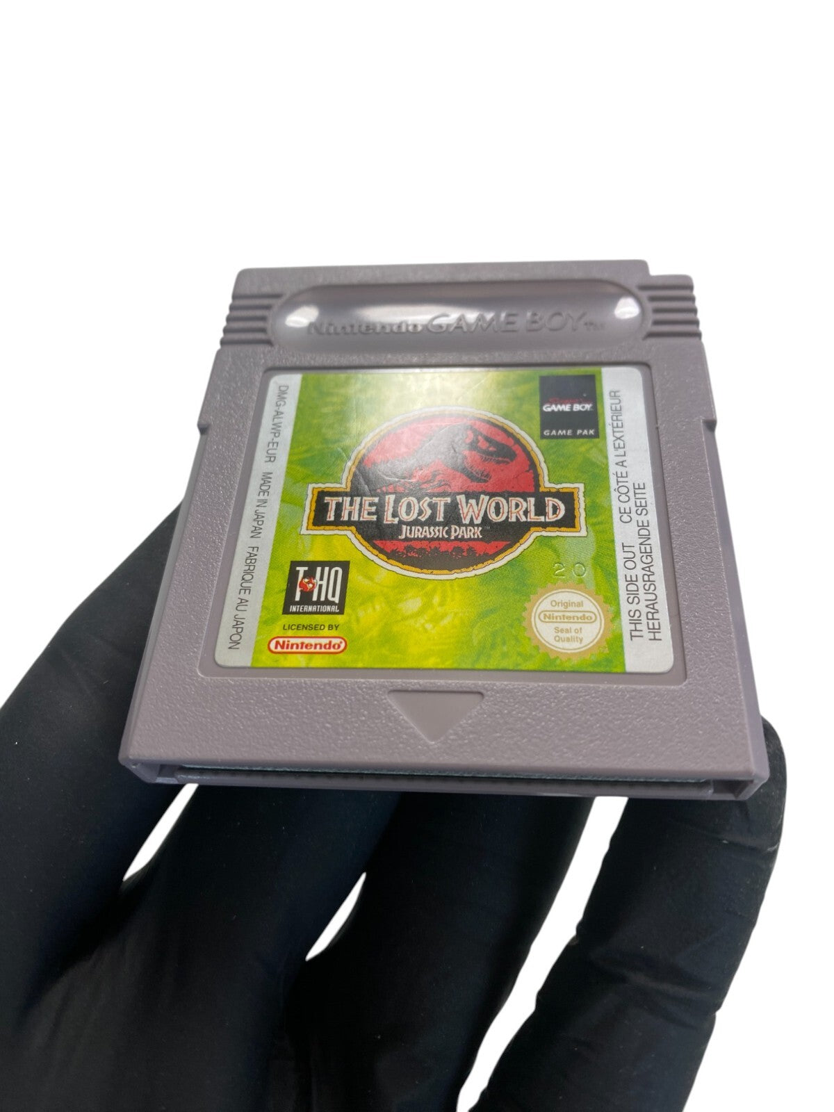 Image #3